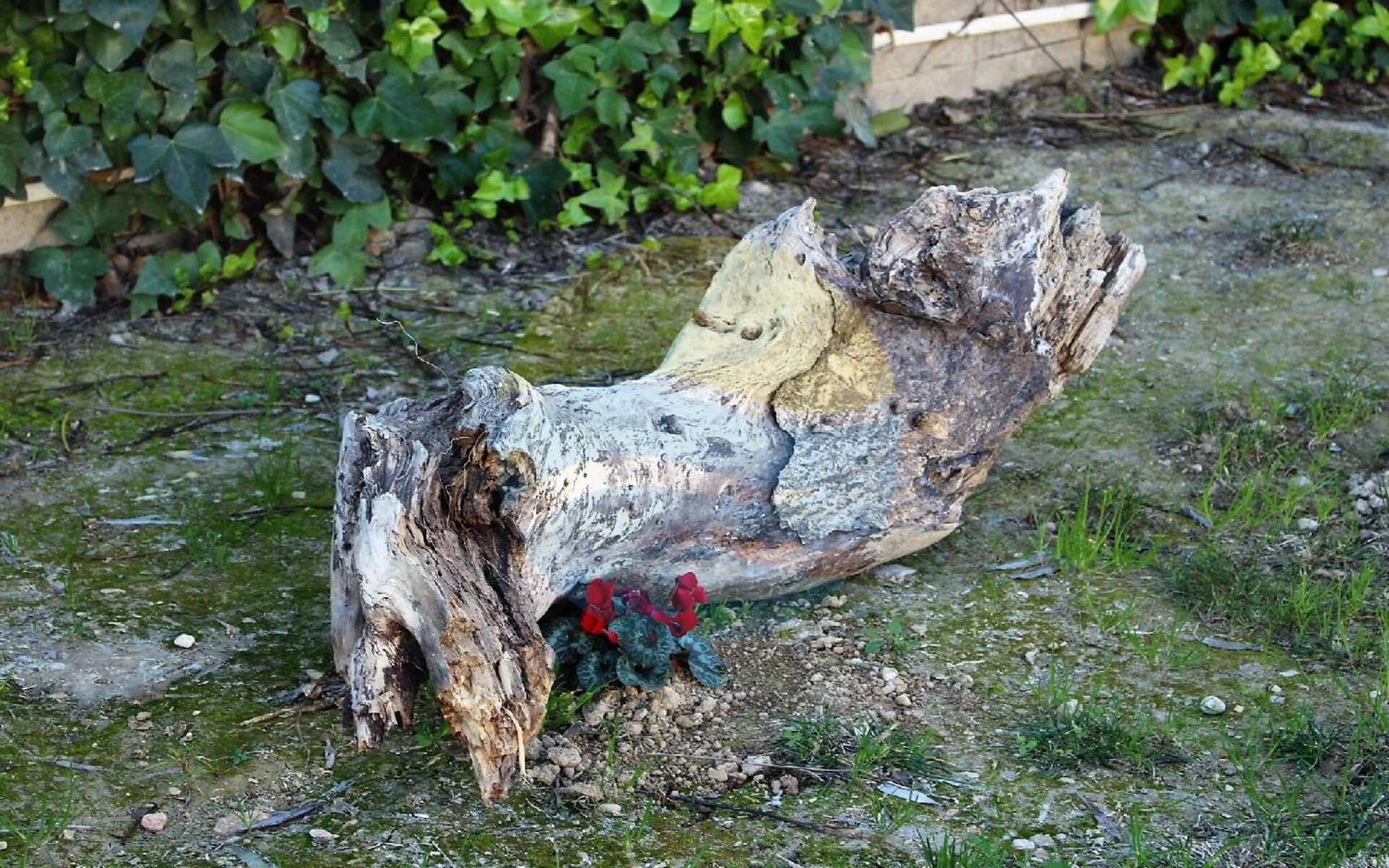 Barraca Tipica Del Delta, Con Piscina, Jardin Y Barbacoa - Deltavacaciones Villa Sant Jaume d’Enveja Kültér fotó